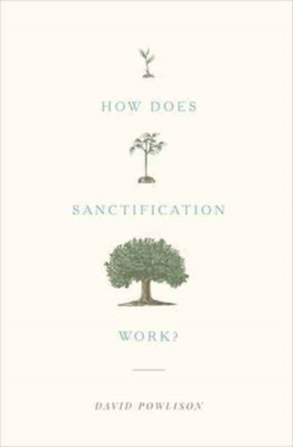 How Does Sanctification Work?