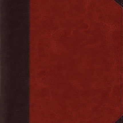 ESV Study Bible Large Print TruTone BrownCordovan Portfolio Design