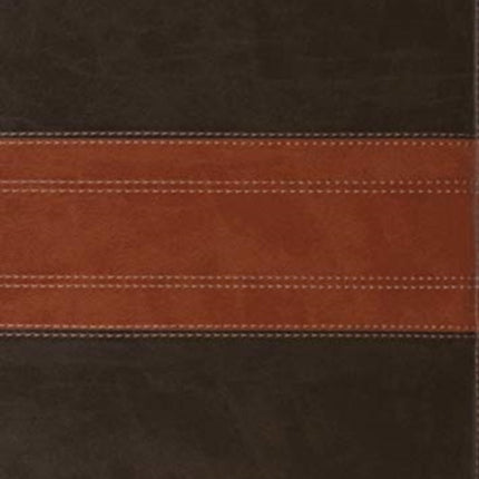 ESV Study Bible, Large Print