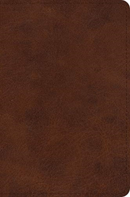 ESV Large Print Bible