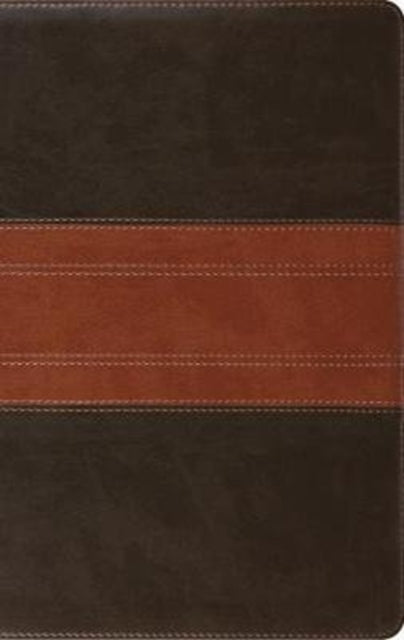 ESV Large Print Personal Size Bible