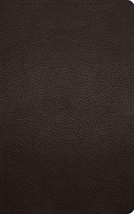 ESV Thinline Bible