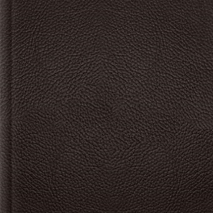 ESV Single Column Journaling Bible, Large Print