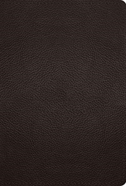 ESV Large Print Compact Bible