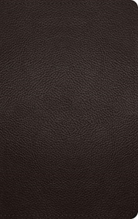 ESV Large Print Personal Size Bible