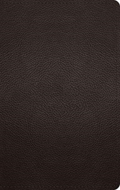 ESV Large Print Personal Size Bible