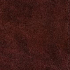 Collection image for: Books by Esv Bibles