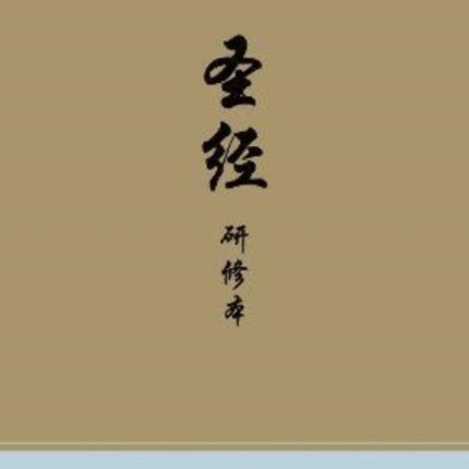 Chinese Study Bible