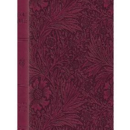 ESV Large Print Value Thinline Bible