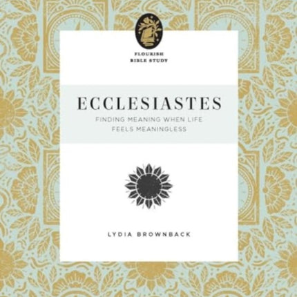 Ecclesiastes  Finding Meaning When Life Feels