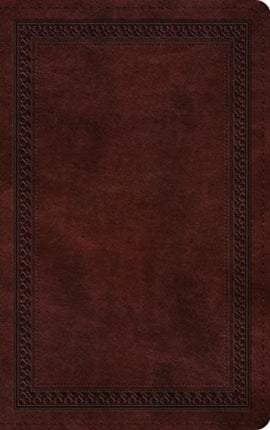 ESV Thinline Bible