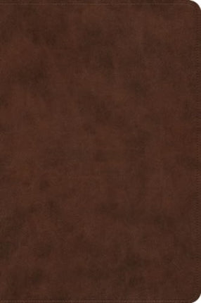 ESV Holy Bible  DyslexiaFriendly Edition TruTone