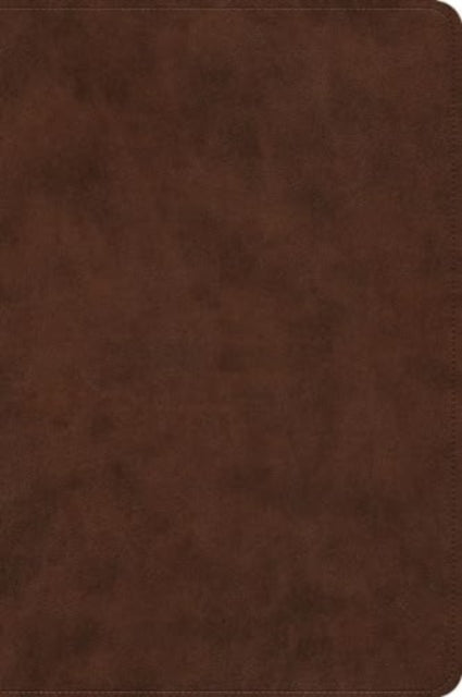 ESV Holy Bible  DyslexiaFriendly Edition TruTone