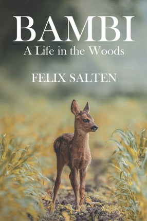 Bambi A Life in the Woods