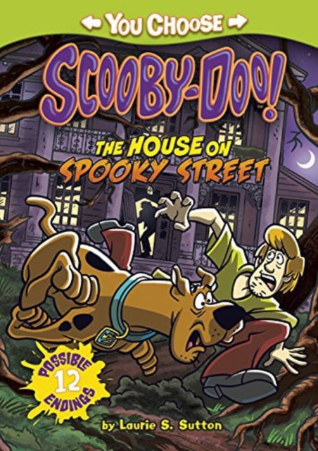The House on Spooky Street You Choose Stories