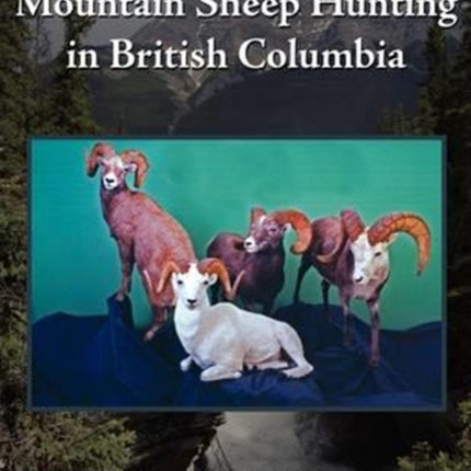 Mountain Sheep Hunting in British Columbia