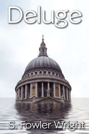 Deluge A Novel of Global Warming