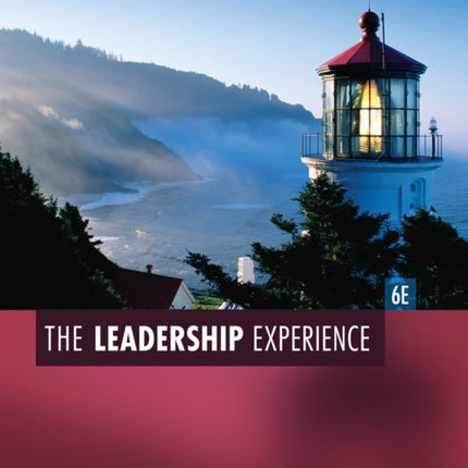 The Leadership Experience