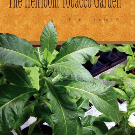 The Heirloom Tobacco Garden