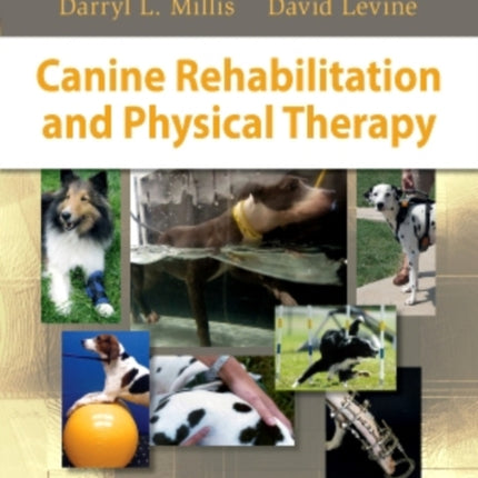 Canine Rehabilitation and Physical Therapy