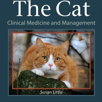 The Cat: Clinical Medicine and Management