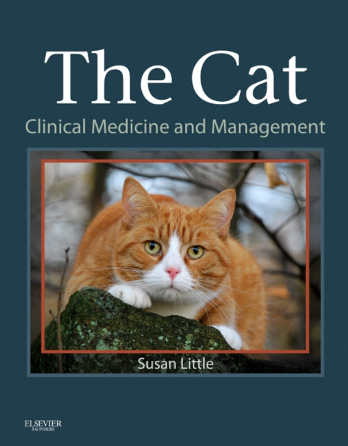 The Cat: Clinical Medicine and Management