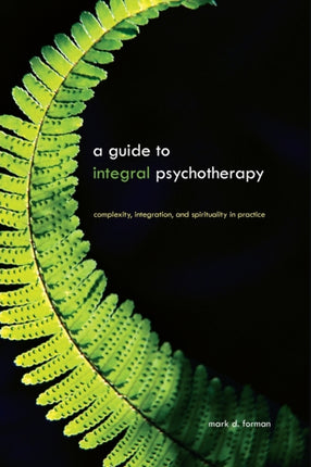A Guide to Integral Psychotherapy Complexity