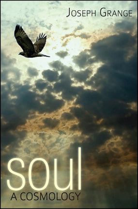 Soul A Cosmology Cosmology Trilogy