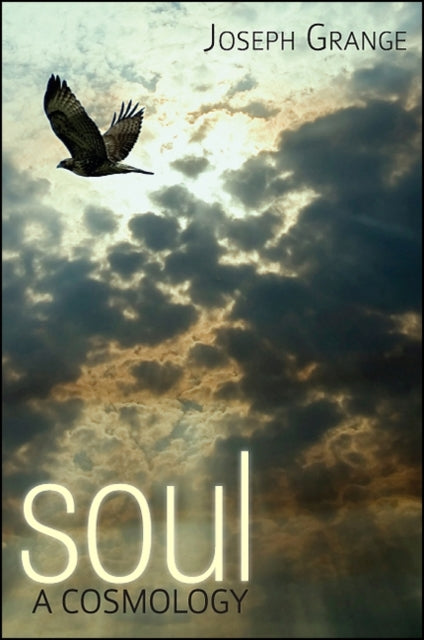 Soul A Cosmology Cosmology Trilogy
