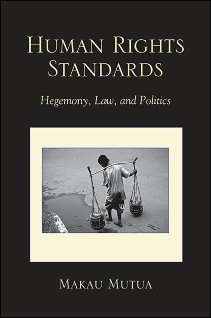 Human Rights Standards Hegemony Law and Politics SUNY series James N Rosenau series in Global Politics