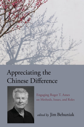 Appreciating the Chinese Difference Engaging