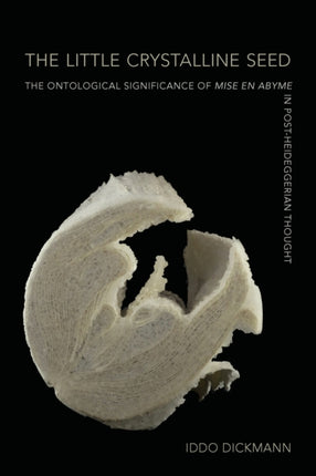 The Little Crystalline Seed The Ontological