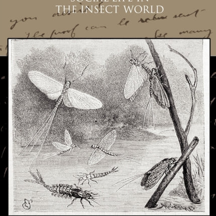 Social Life in the Insect World