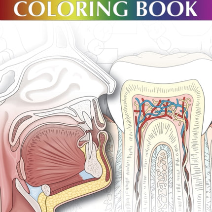 Dental Assisting Coloring Book