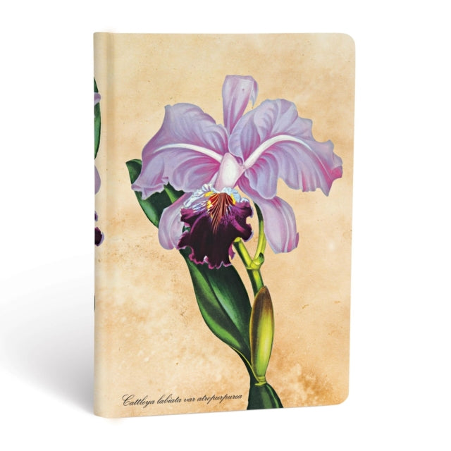 Brazilian Orchid Mini Unlined Hardcover Journal