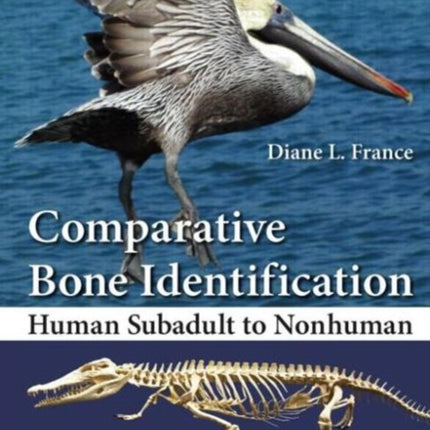 Comparative Bone Identification: Human Subadult to Nonhuman