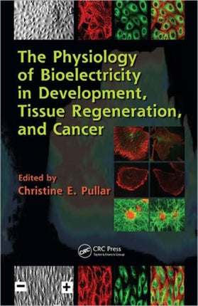 The Physiology of Bioelectricity in Development, Tissue Regeneration and Cancer