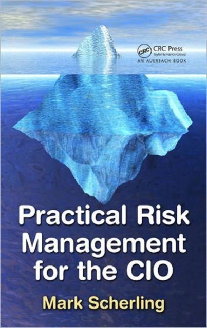 Practical Risk Management for the CIO