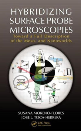 Hybridizing Surface Probe Microscopies: Toward a Full Description of the Meso- and Nanoworlds