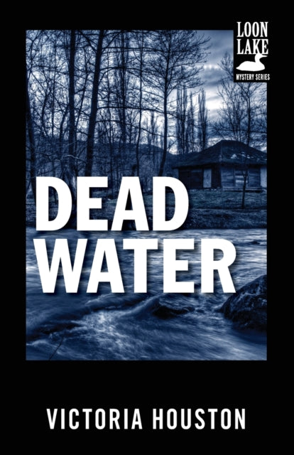 Dead Water A Loon Lake Mystery 3