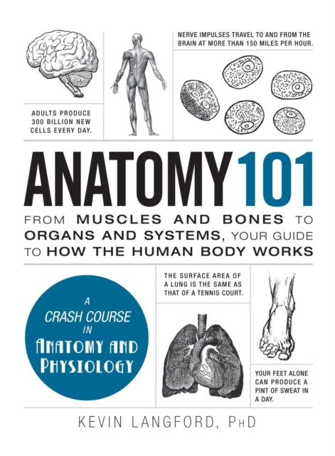 Anatomy 101: From Muscles and Bones to Organs and Systems, Your Guide to How the Human Body Works