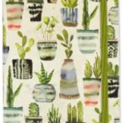 Watercolor Succulents Journal Diary Notebook