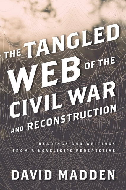 The Tangled Web of the Civil War and Reconstruction: Readings and Writings from a Novelist's Perspective