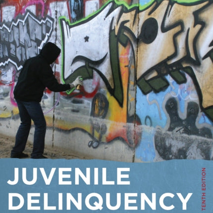 Juvenile Delinquency A Sociological Approach