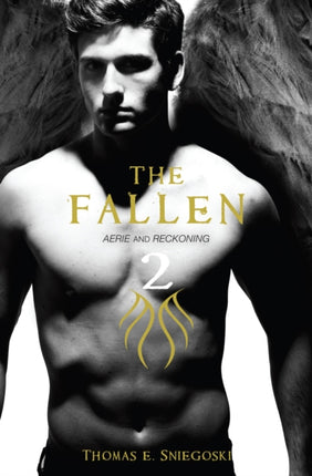 Fallen 2 Aerie and Reckoning