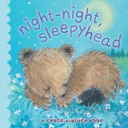 Night-Night, Sleepyhead: A Chock-a-Block Book