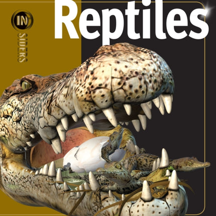 Reptiles