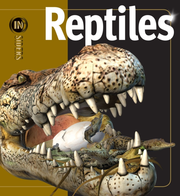 Reptiles