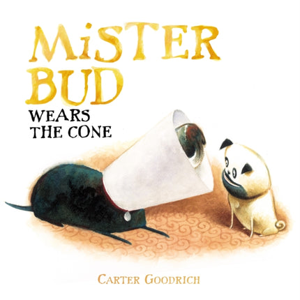 Mister Bud Wears the Cone