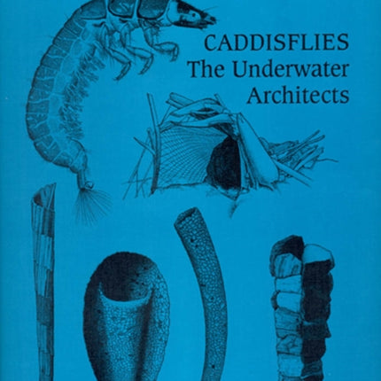 Caddisflies